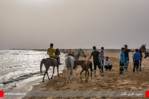 اسب سواری در ساحل کنگان