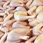 علت گرانی مرغ مشکل تامین نهاده‌های دامی است