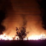 آتش‌سوزی در سایت دفن زباله کنگان و عسلویه ادامه دارد