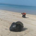 تداوم پاکسازی سواحل نایبند توسط پتروشیمی جم
