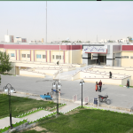 اولین عمل تعویض مفصل آرنج در جنوب استان بوشهر انجام شد/ بیمارستان کنگان، قطب جراحی منطقه